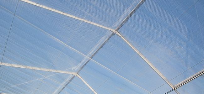 Inside a greenhouse, showing double climate screens