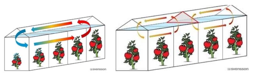 In the greenhouse to the left without baffles, a large temperature gradiant exists (blue to red arrows) and there is uneven crop growth. To the right, the greenhouse has baffles which create smaller gradiants and more even crop growth.