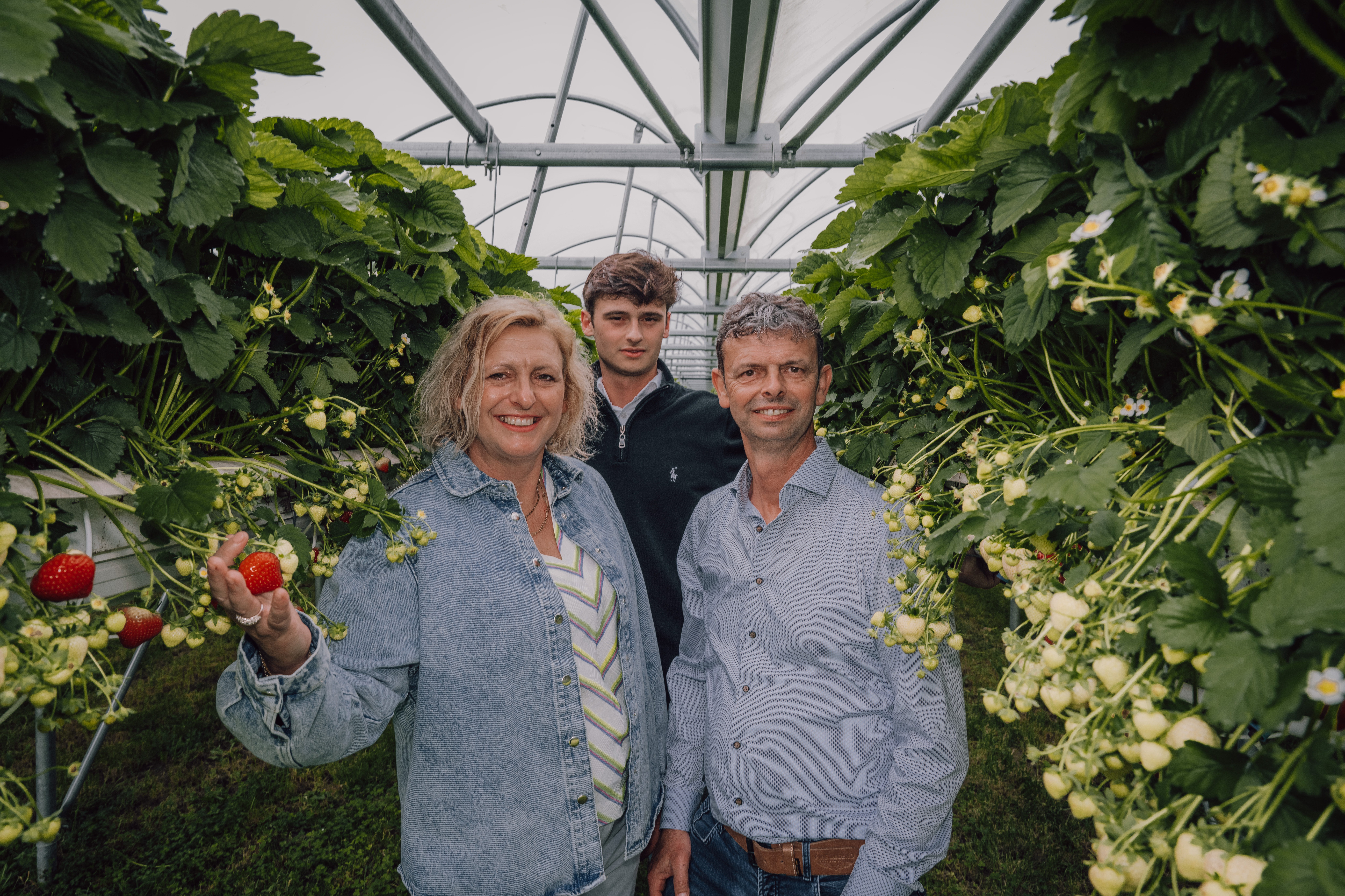 CS - Linkertse Aardbeienautomaat - Belgium - Strawberries - Growers