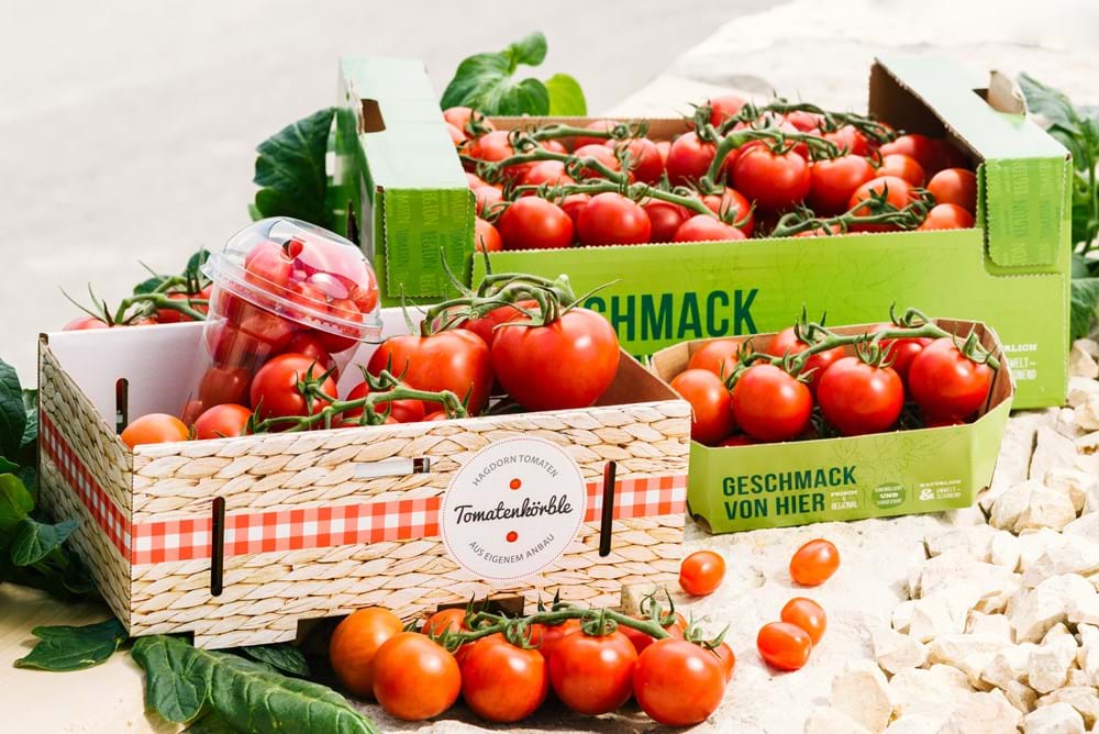 CS2020 hockdof DE 1.jpg