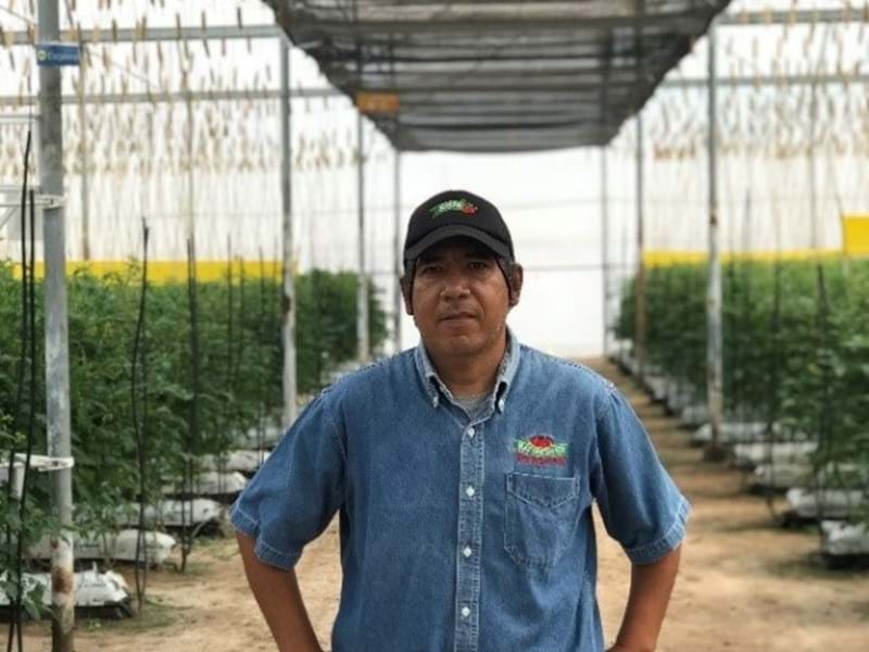 Naturesweet grower