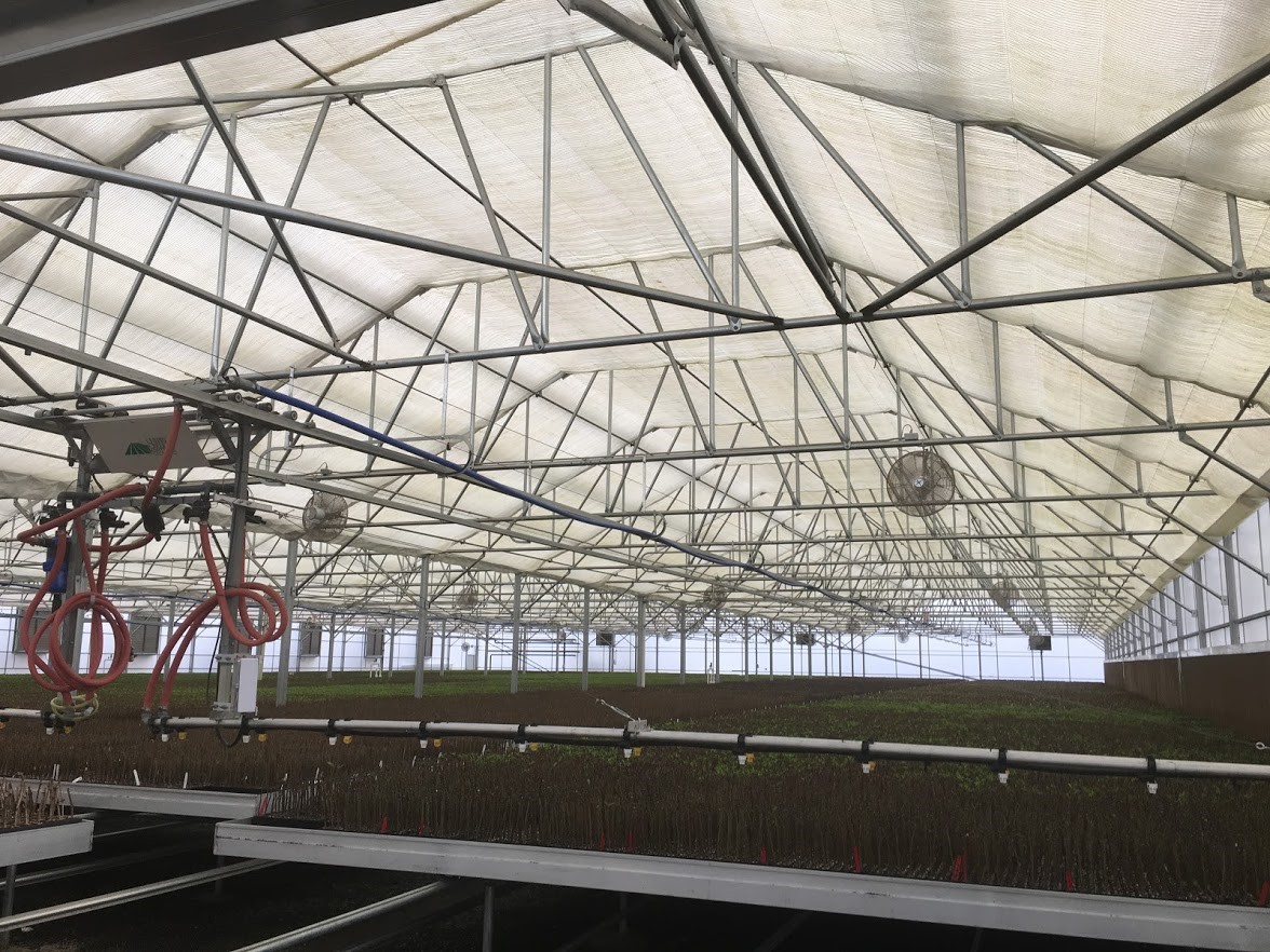 Inside of a greenhouse.