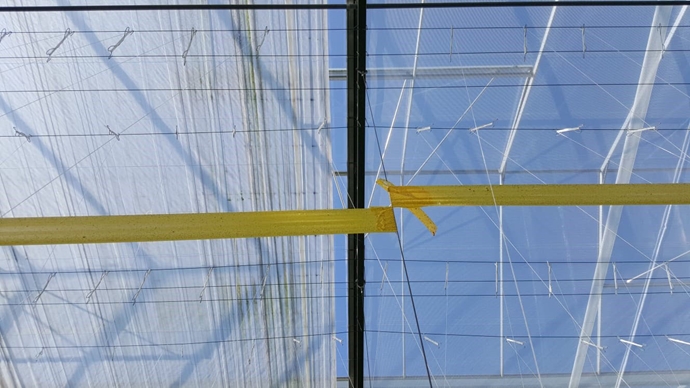 Climate screens in a greenhouse.