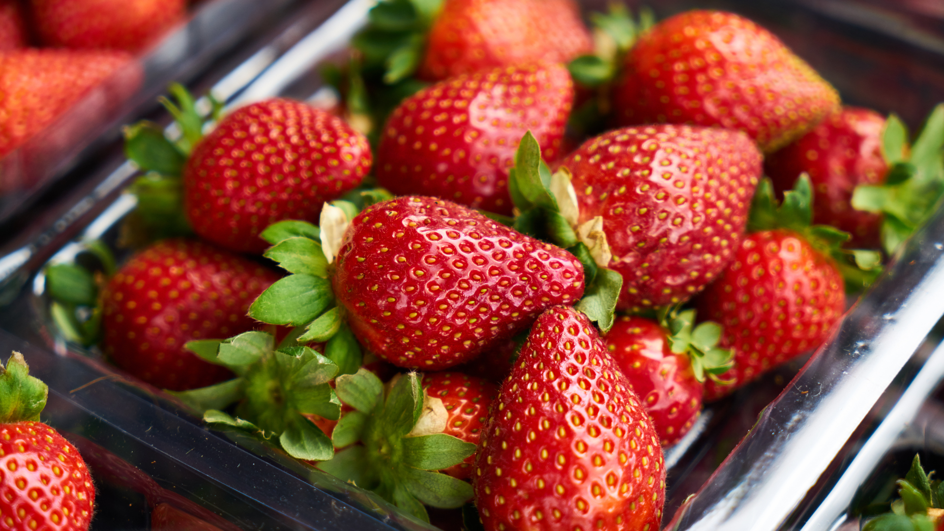 CS - Highlights - Strawberries - Profitability - North America - Market Trends.png