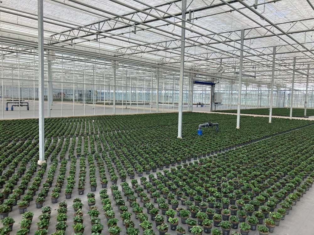 CS2026 Bouten NL.jpeg