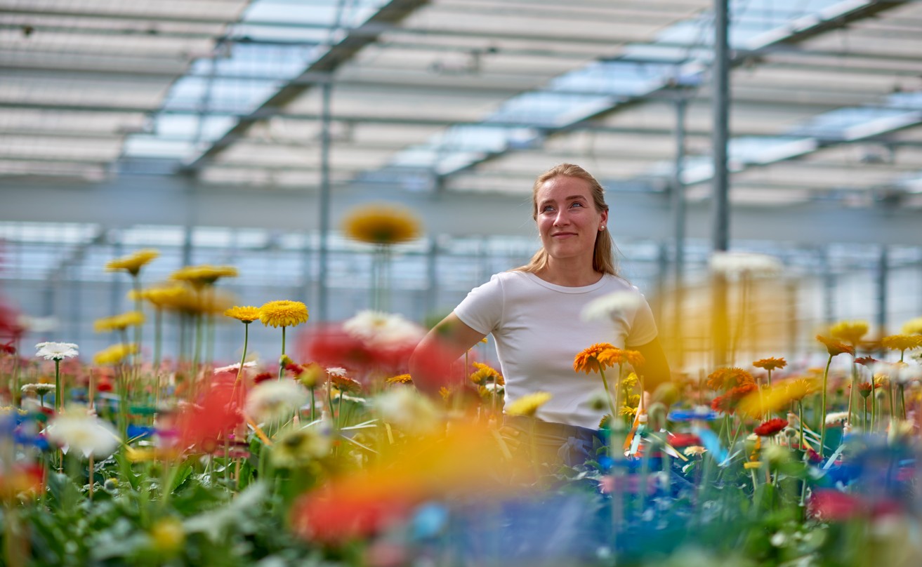 CS 2026 Grower Stories NL.3.jpg