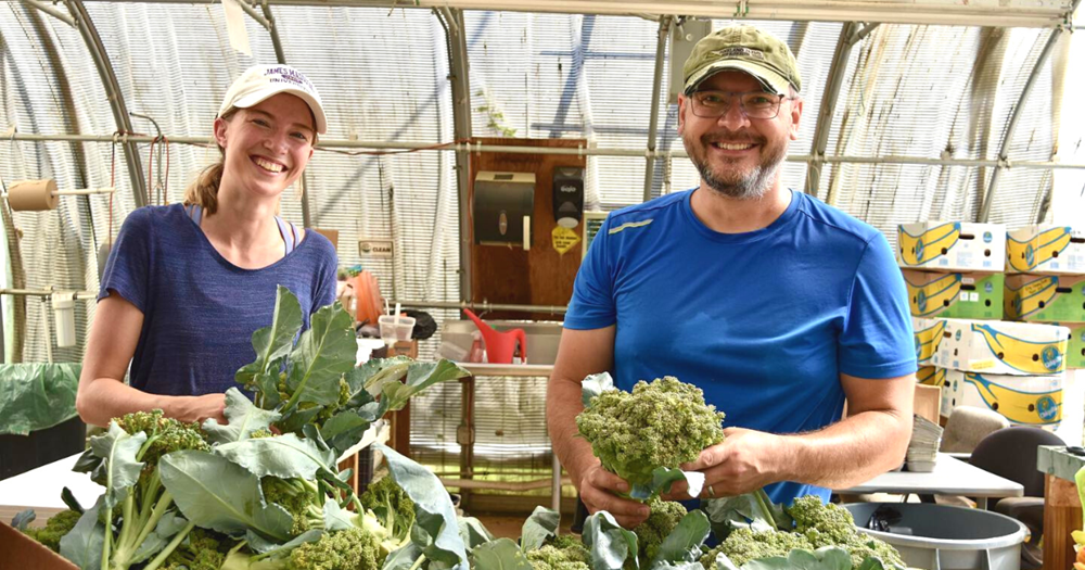 CS - The Bulb - Highlights - Eddie Watt - US - Growers.png