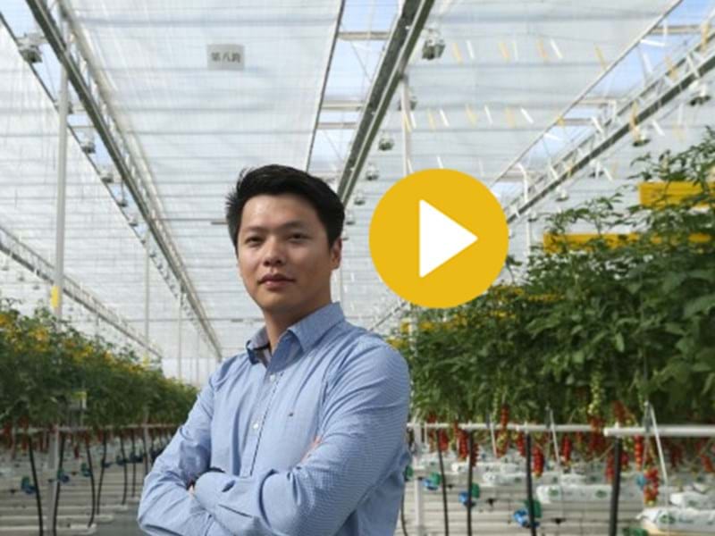 Horipolaris grower
