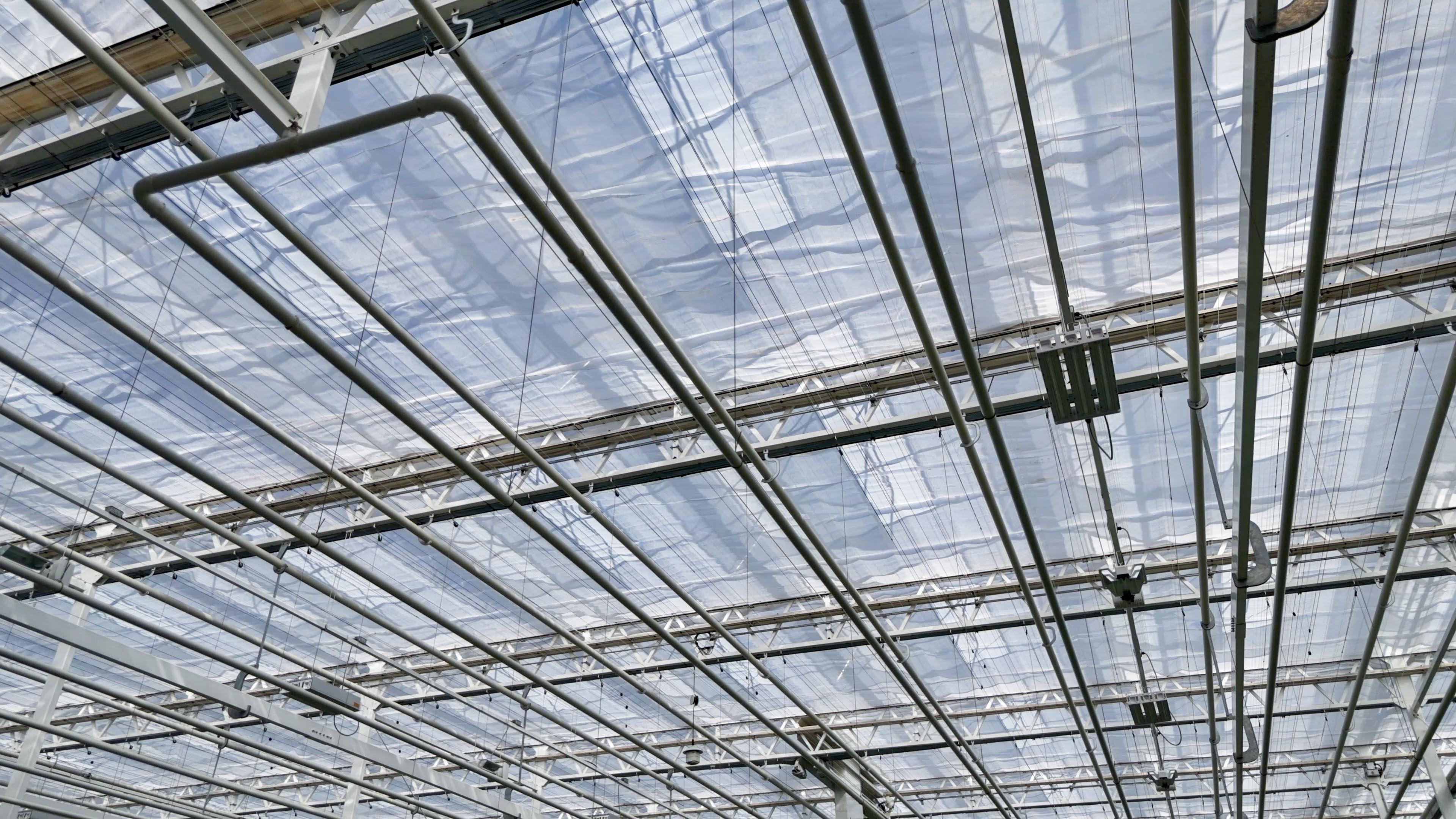 CS - Ontario Plants - Seedlings - Xsect Xtreme nets - Canada