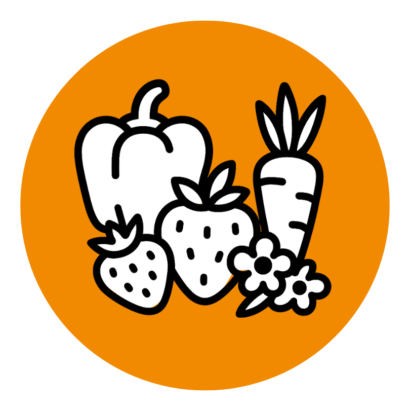 CS - climate playbooks - airflow - Challenge Pages - orange icon.png