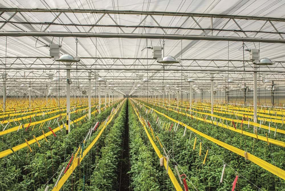 CS2026 innovatief 1 NL.jpg