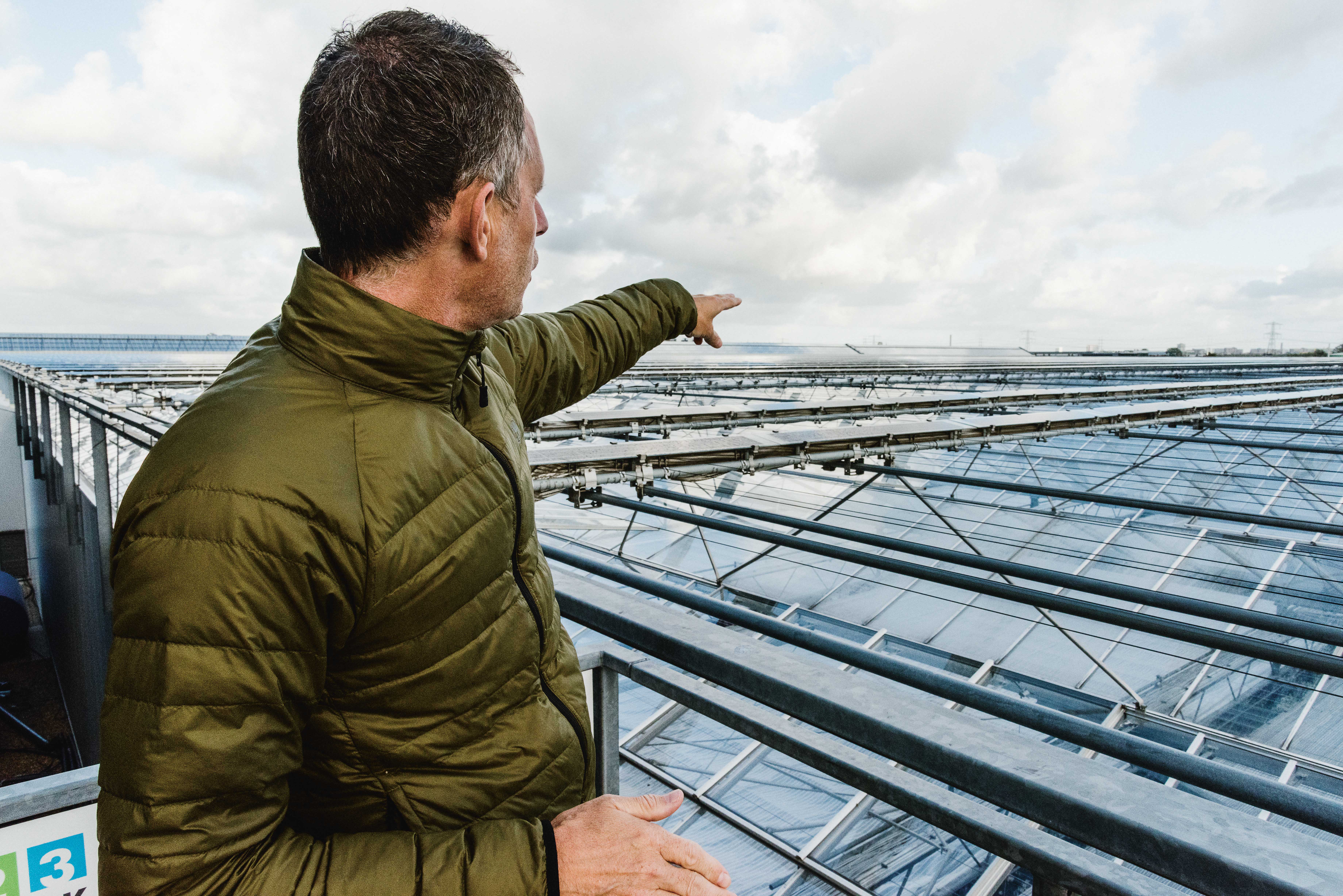 CS - Grower story - terlaak - orchids-2018-2.jpg