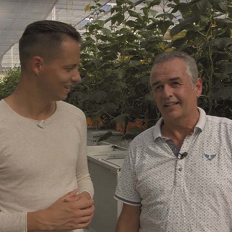 Kwekerij Mulitgrow Grashoek BV
