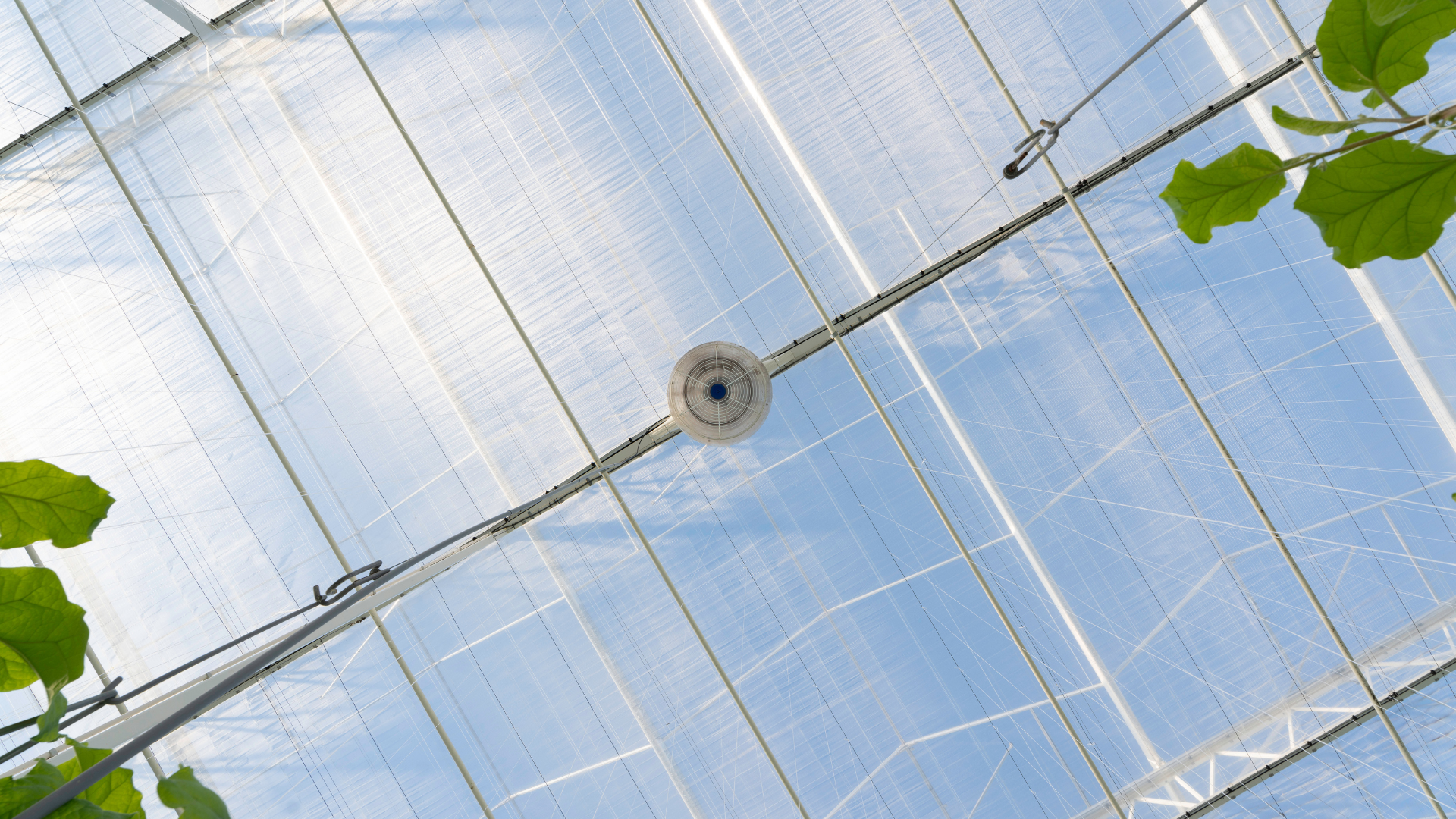 CS - ClimaFlow - Van Den Broek - Netherlands.png