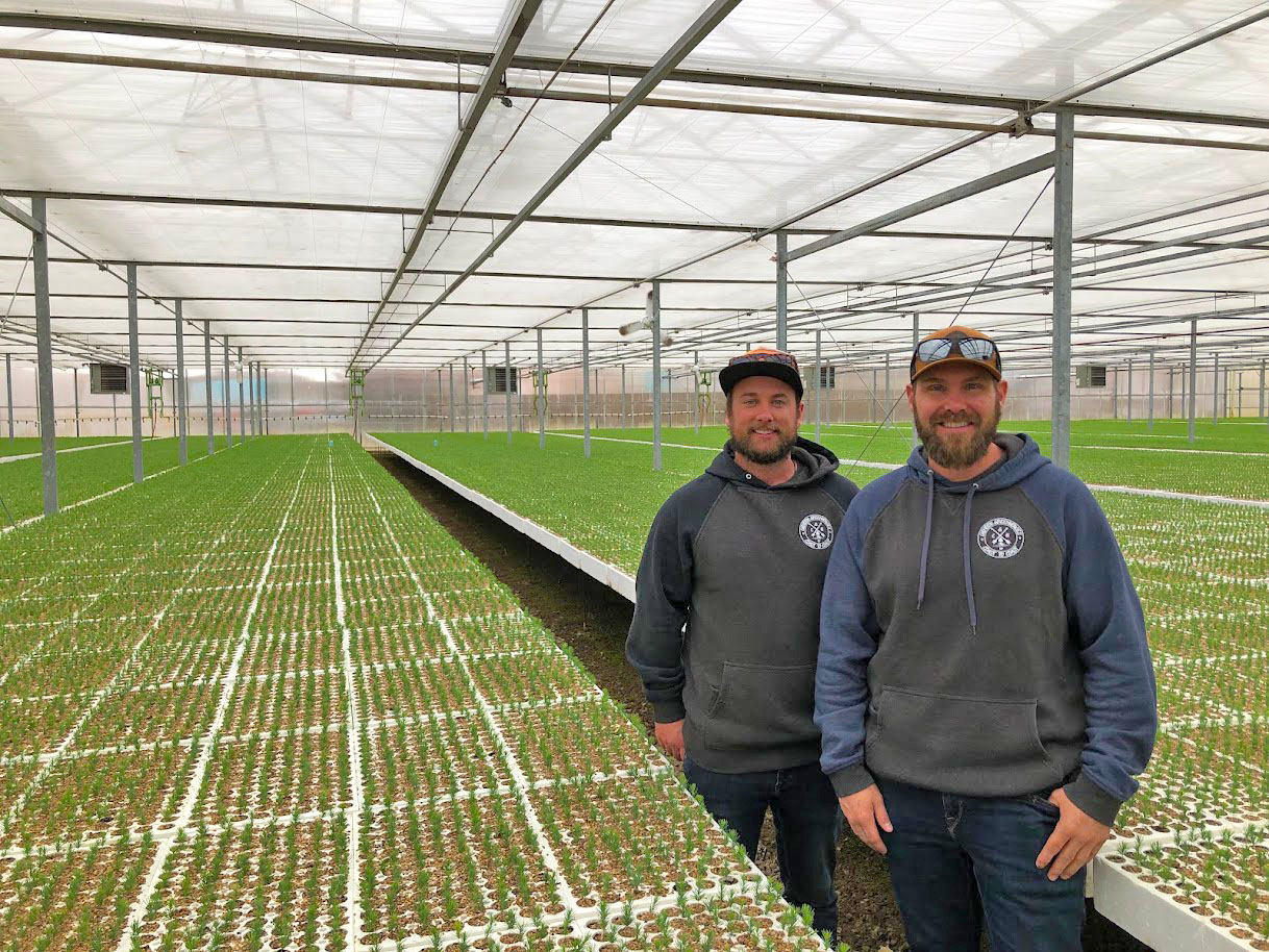 cs carson pancoast growers.jpg