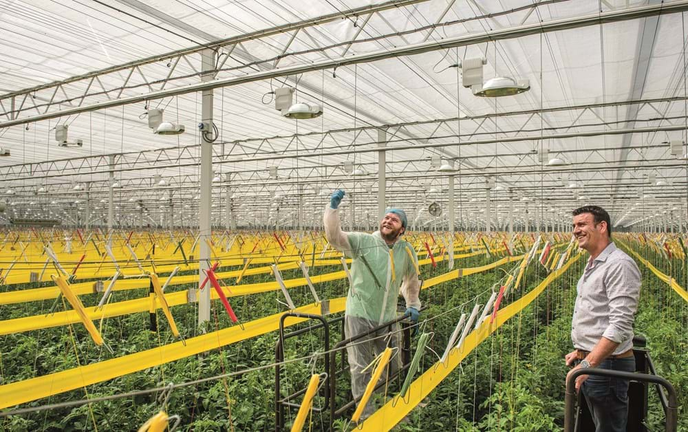 Ton Habraken and Eric Vereijken in the greenhouse