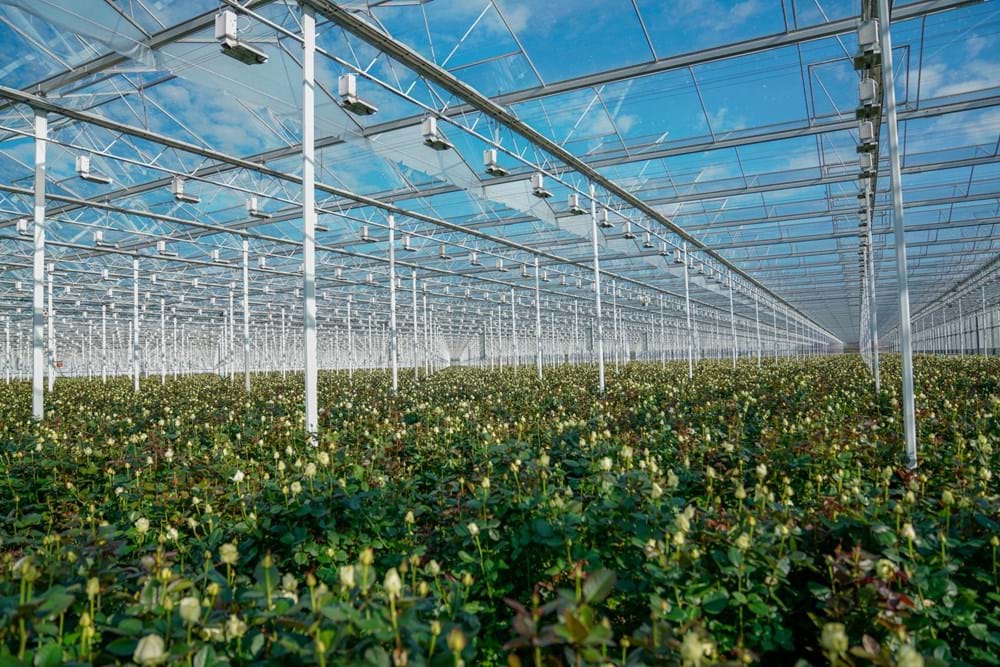Locatie in Delfgauw