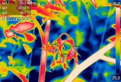 CS2026 mooie plaatjes NL.jpg