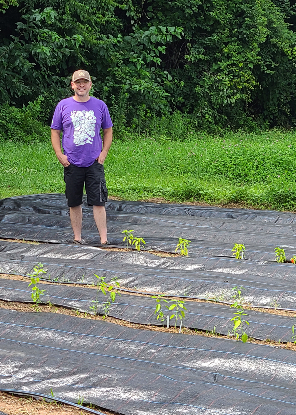 Svensson's black groundcover being used to grow summer crops such as tomatoes, cucumbers and peppers.