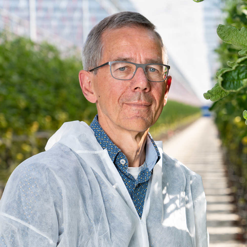 Hugo Plaisier, Greenhouse Climate Consultant at Svensson