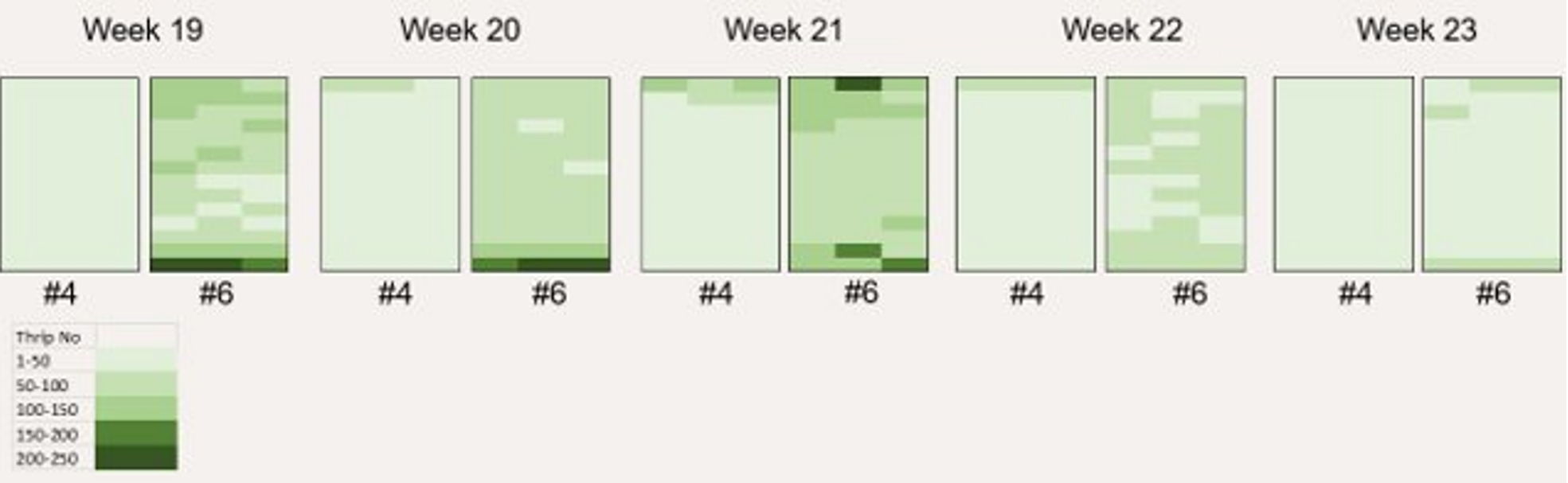 The schematic shows weeks of the dry season and the observed and trapped thrips incidence in greenhouse #4, where Xsect Xtra was installed, and in #6, where another insect net was in use.