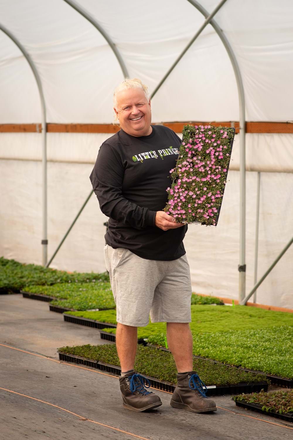 Harmony climate screen cooling greenhouse Oregon