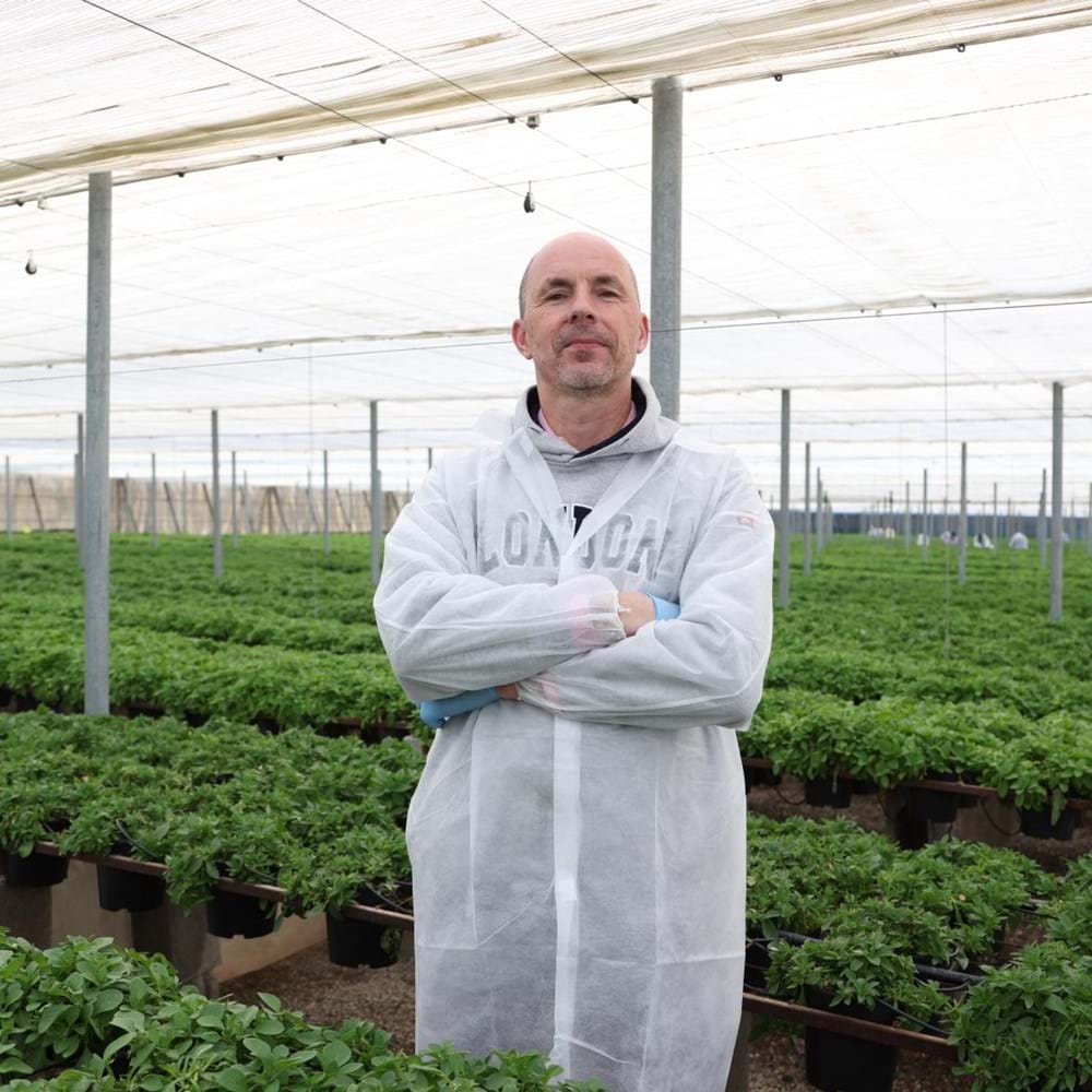 cs - corne - planta andalucia.jpg