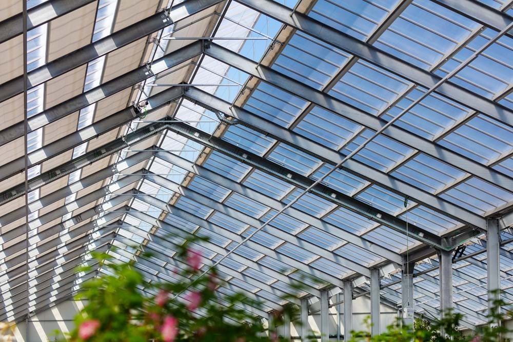 CS2026 Uystel NL.jpg