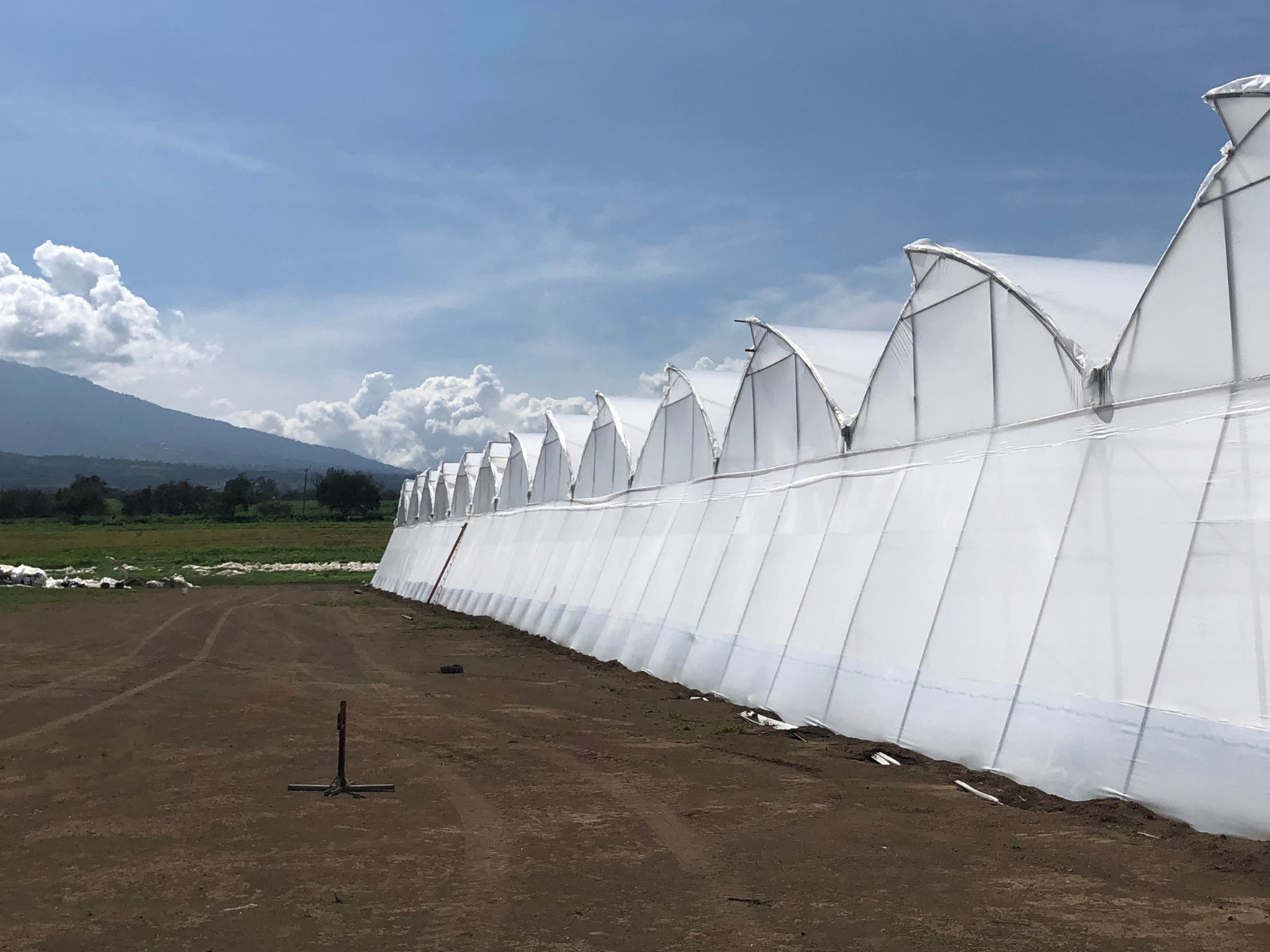 cs - gomalor-listing-image.png