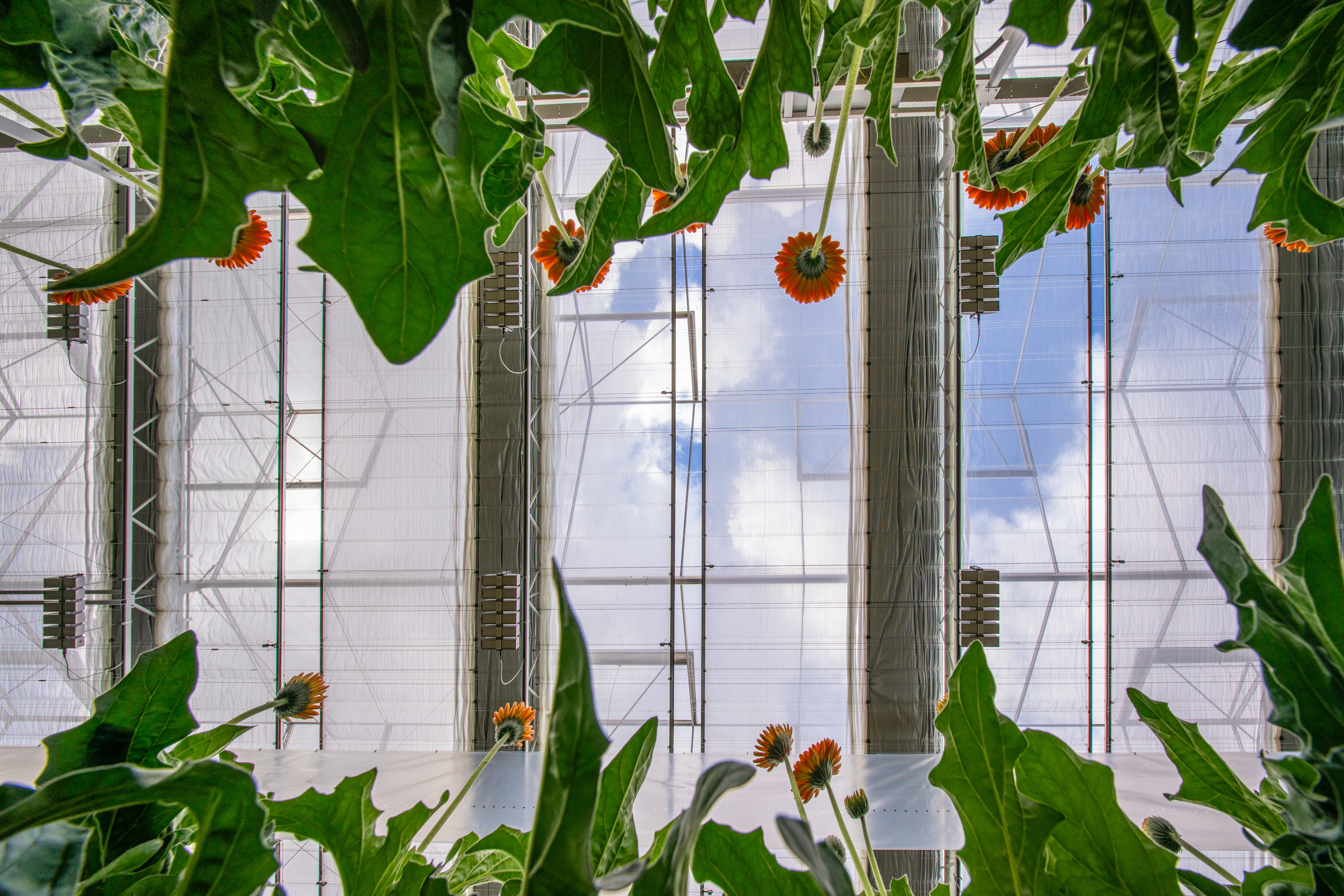 CS2026 De zuidplas NL.jfif