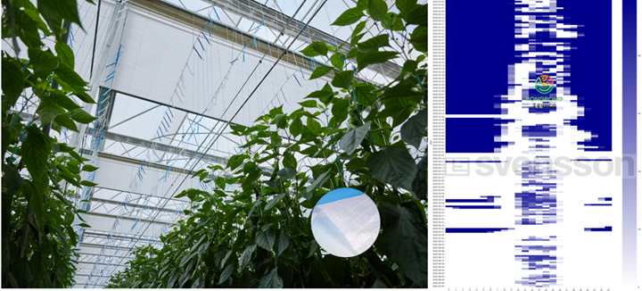 CS - highlights - Yings article - Chart - Rong Rong - Screen Selection.png