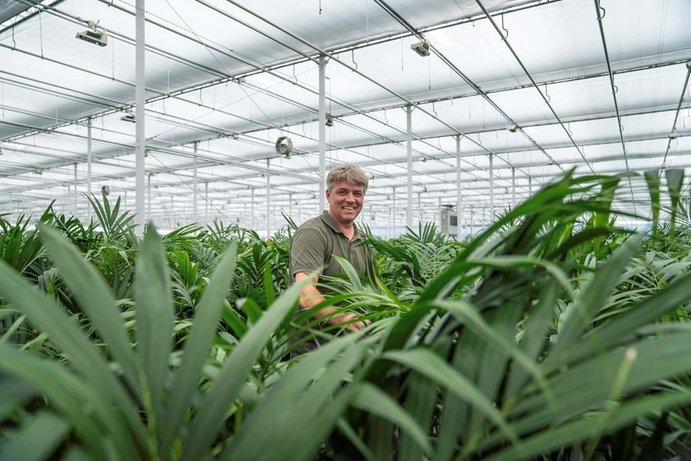 CS2026 Jeroen van Capel NL.jpg