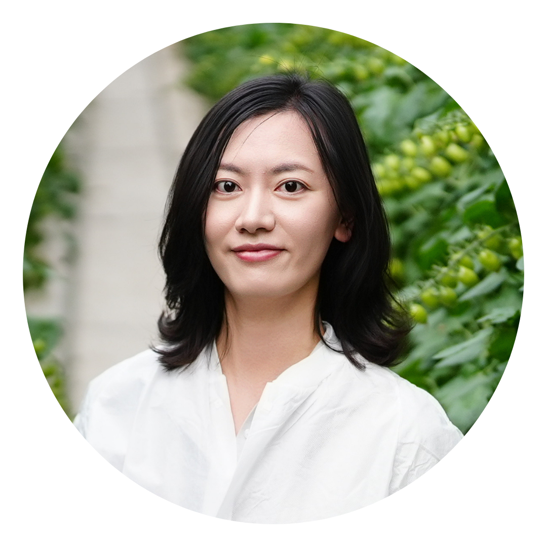 CS - Ying Ying - Svensson - Climate Consultant - China