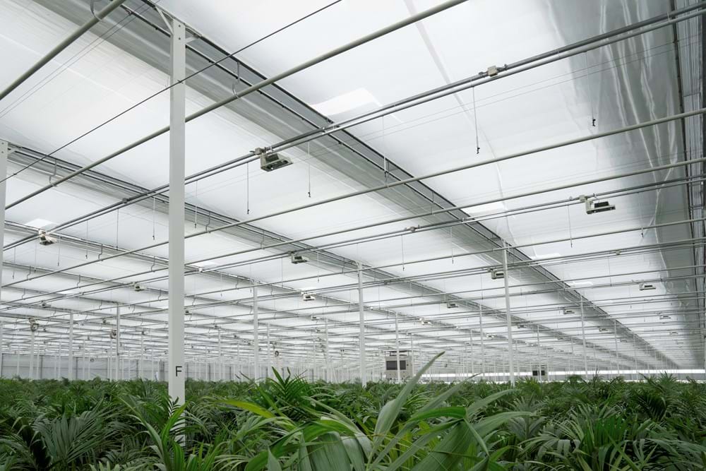 CS2026 Jeroen van Capel 1 NL.jpg