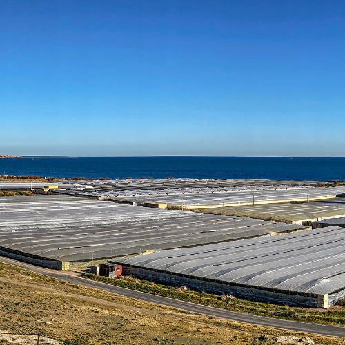 CS - Hightlights - Almeria Greenhouses.png
