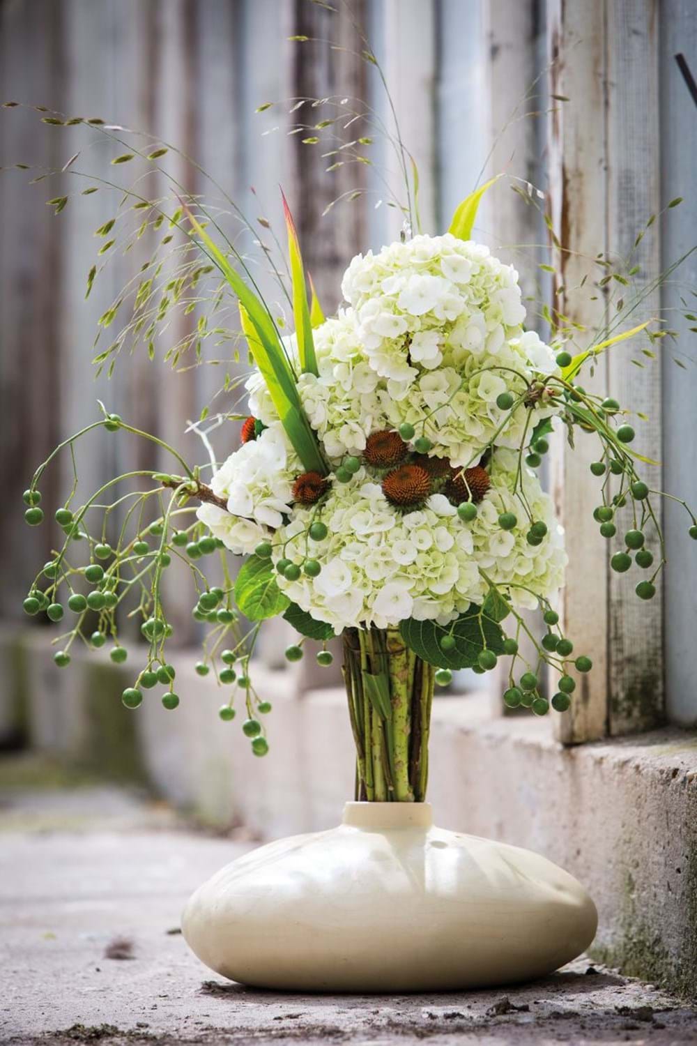 CS2026 Ko Kolk NL.jpg