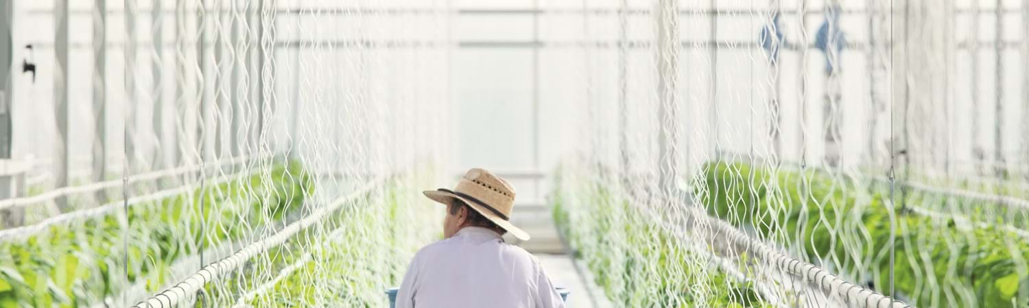 cs - mucci farms banner.jpg