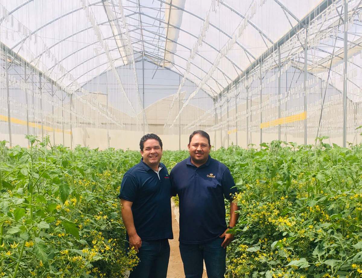 cs -  santiago - growers.jpg