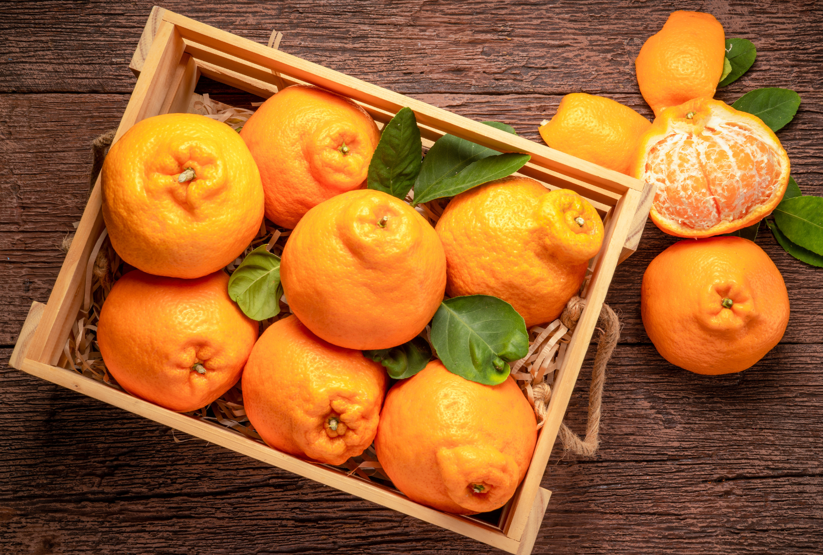 CS - Highlights - Market Trends - Sumo Oranges.png