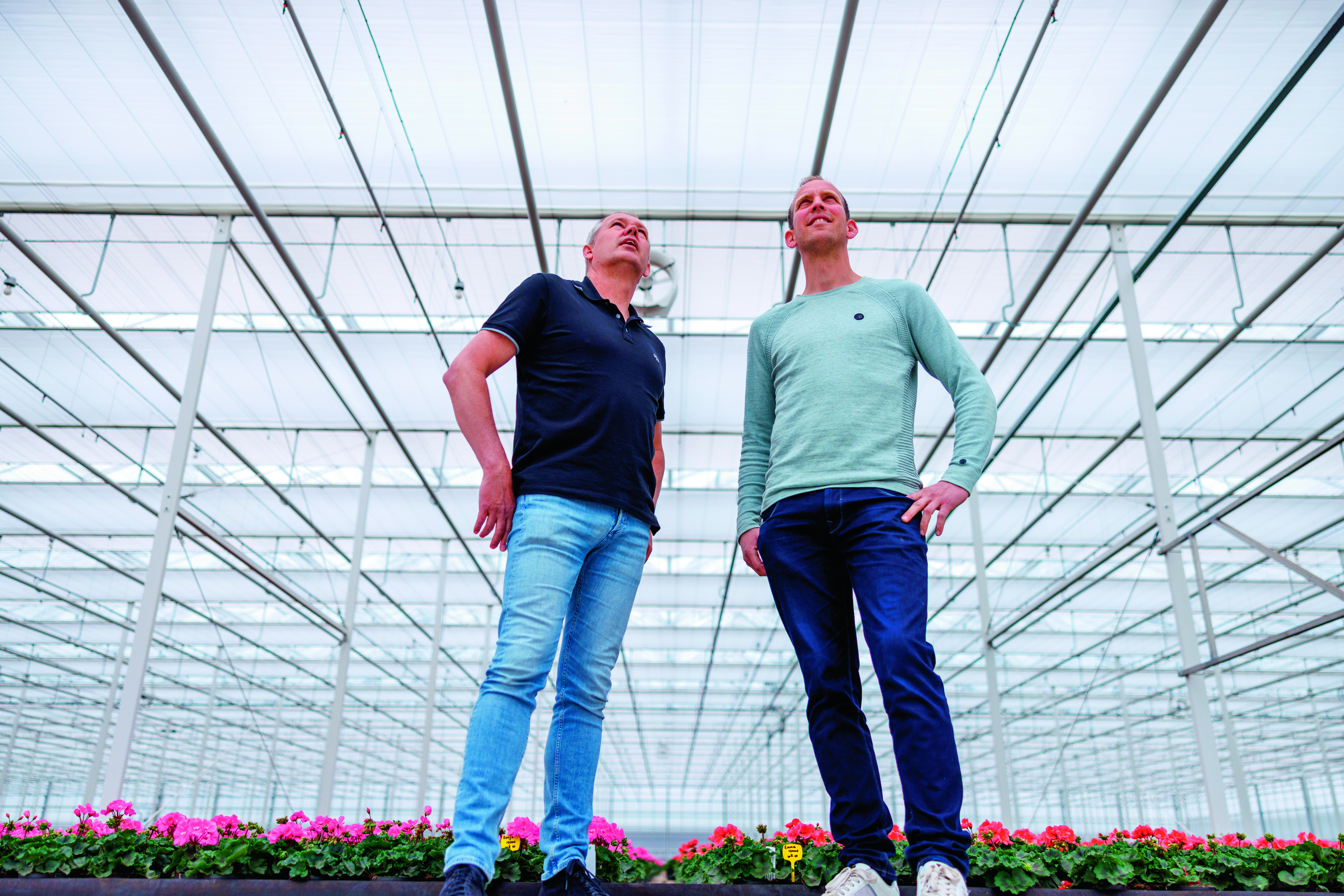 CS - PARperfect - Bart Bakker - Potplants - Netherlands - Bergcamp.jpg