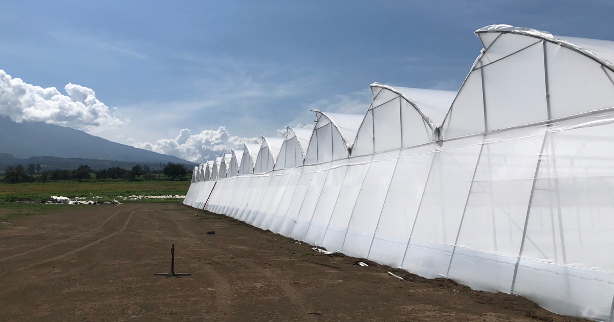 CS - Gomalor - Xsect - Mexico - Xsect house