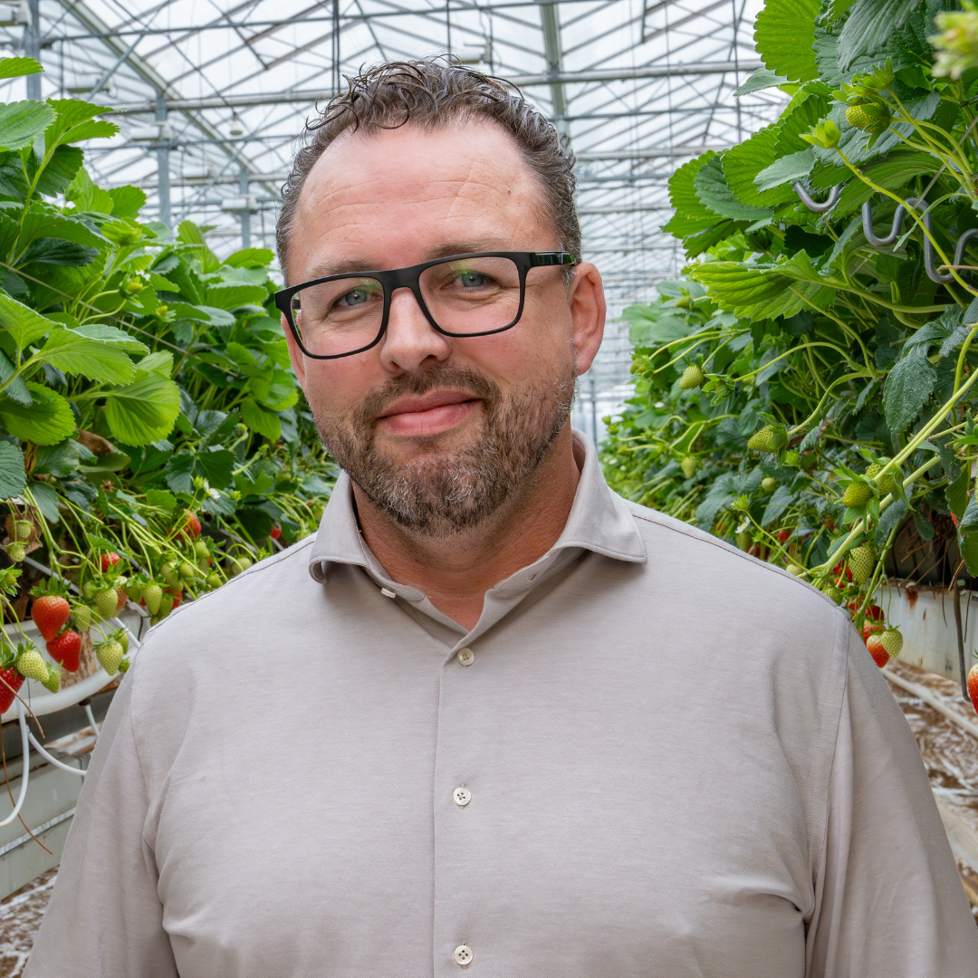 CS - Dominique Blok - Strawberries - 2026 Photos.png