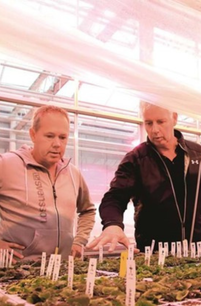 CS - PanAmerican Seed - Seedling - Breeder - Netherlands - PARperfect - Bart Bakker - Grower.png