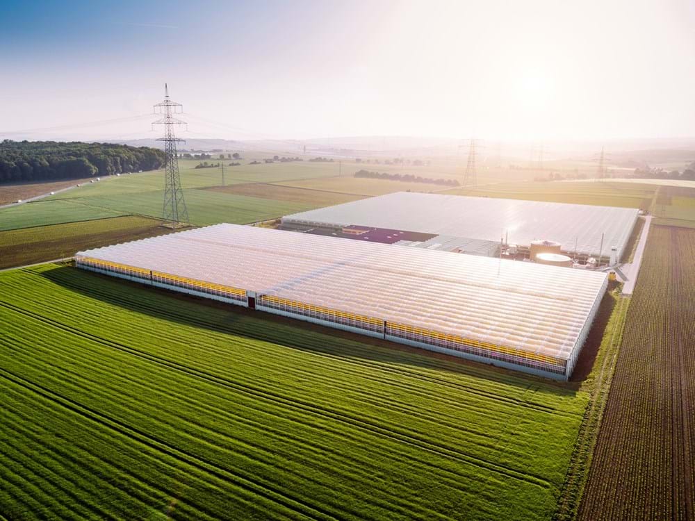 CS2020 hochdof DE.jpg