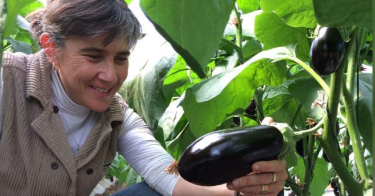 CS - Hacienda El Carmen - Monica Baeza.png