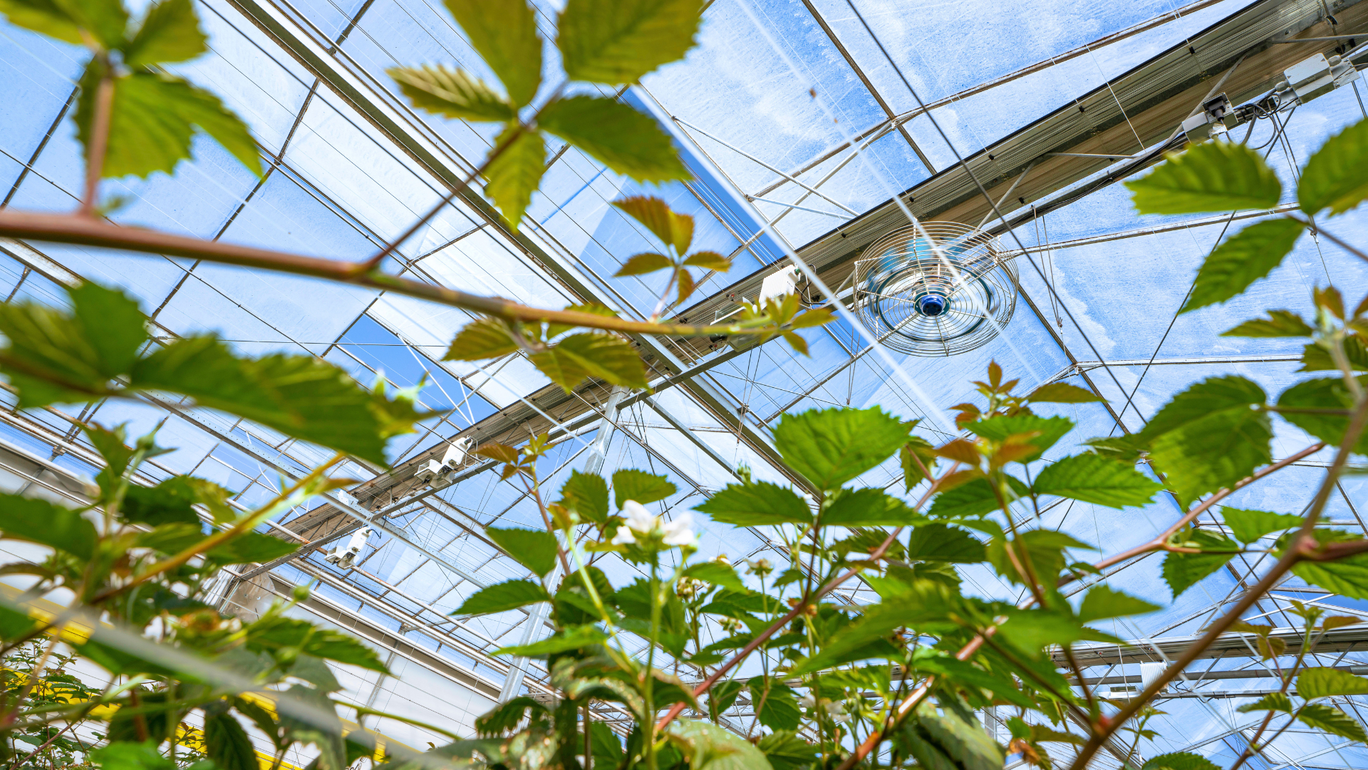 CS - Vertical Airflow - ClimaFlow Fan - Whitepaper.png