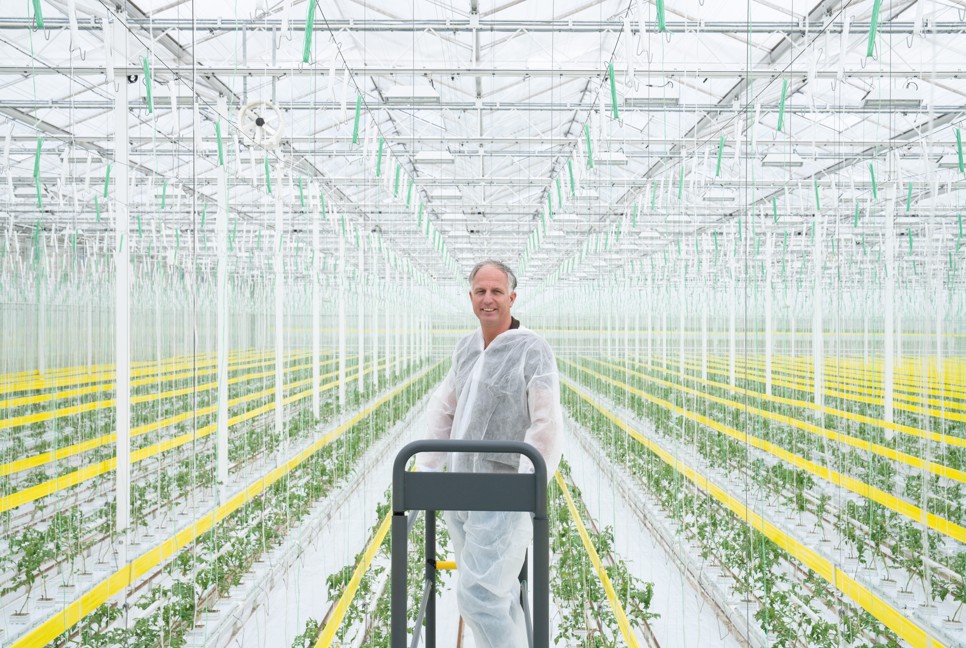 CS - NL - 2026 - Lans Tomatoes - Harmony 2315 FR.jpg
