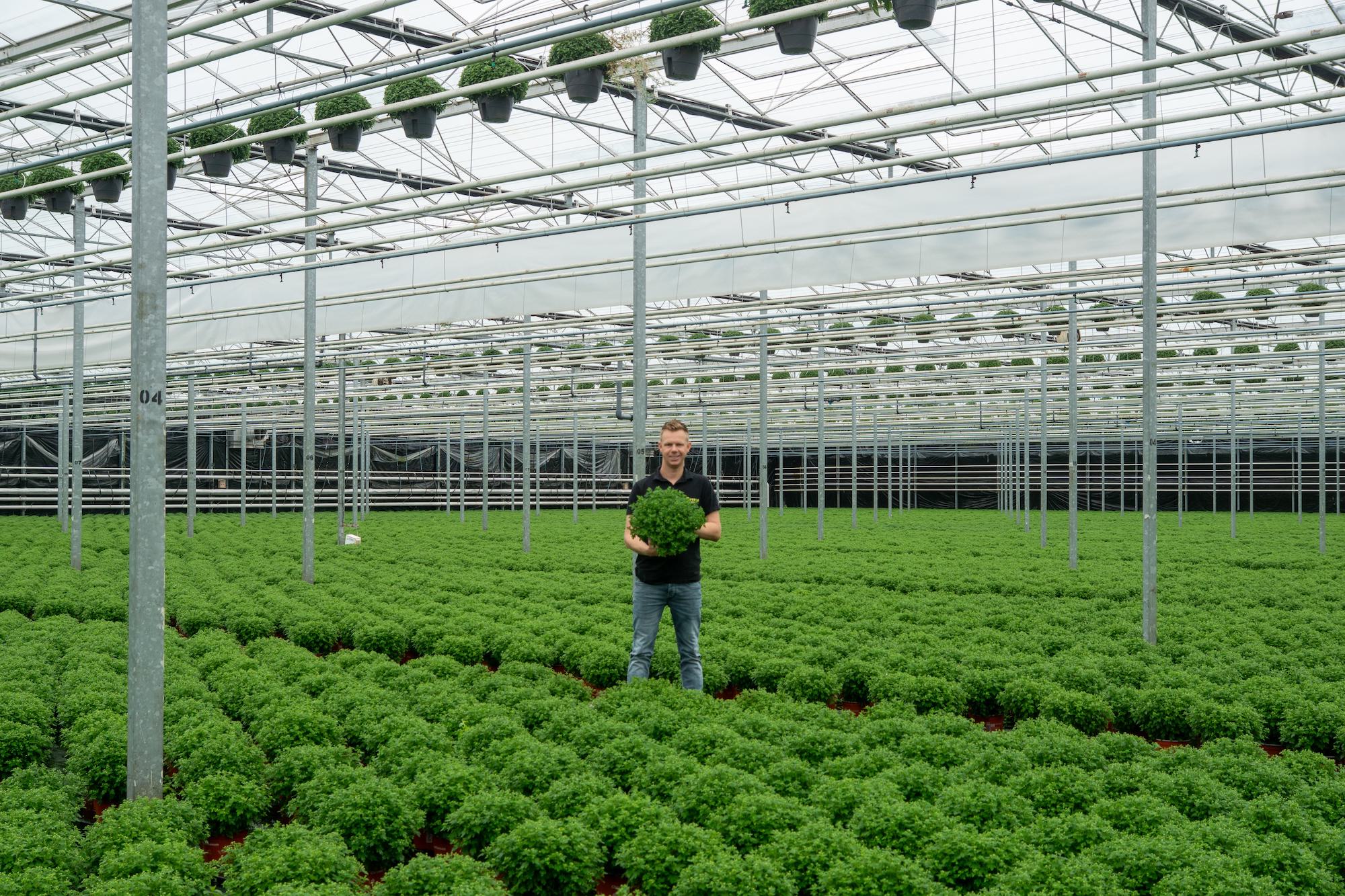 CS - Grower story - coen-plant-wouters.jpg