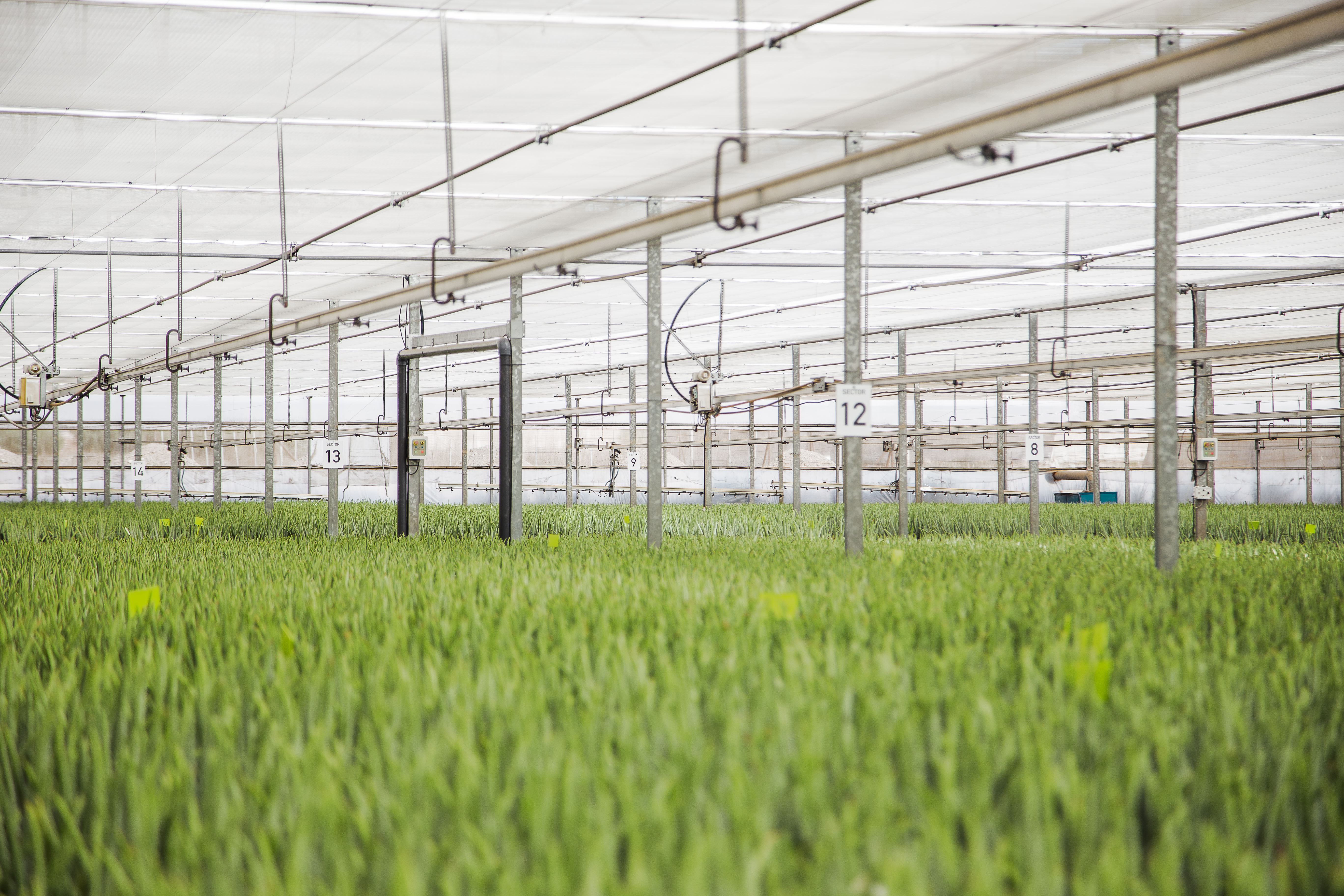 Cs2026 schermen 1 NL.jpg