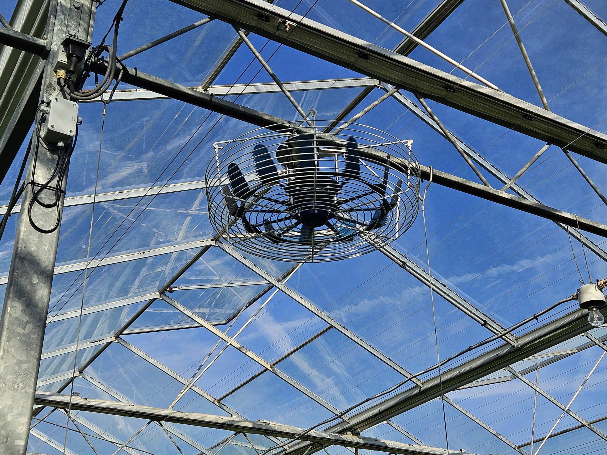 CS - Linkertse Aardbeienautomaat - Belgium - Strawberries - Crops - ClimaFlow fan